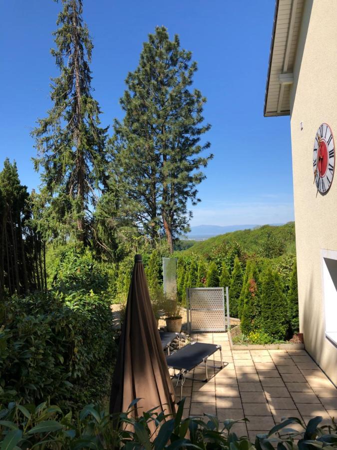 Villa Adagio バーデンヴァイラー エクステリア 写真